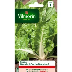 Graines de poirée blonde à carde blanche 2 Vilmorin - graines à semer