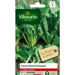 Graines de poirée verte à couper Vilmorin - graines à semer