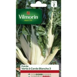 Graines de poirée verte à carde blanche Vilmorin - graines à semer
