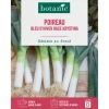 Graines de poireau bleu d'hiver race Krystina botanic® - graines à semer