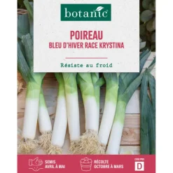Graines de poireau bleu d'hiver race Krystina botanic® - graines à semer