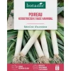 Graines de poireau herbstriesen 2 race hannibal botanic® - graines herbstriesen semer