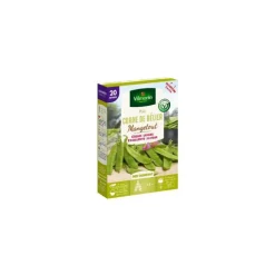 Graines de Pois corne de Bélier mangetout Vilmorin - graines à semer