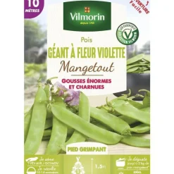 Graines de pois géant à fleur violette mangetout Vilmorin - graines à semer