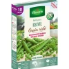 Graines de pois nain Kelvil Vilmorin - graines à semer