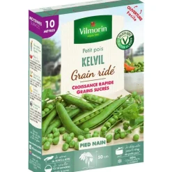Graines de pois nain Kelvil Vilmorin - graines à semer