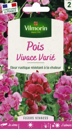 Graines de Pois vivace varié Vilmorin - graines à semer