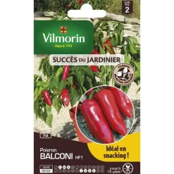 Graines de Poivron Balconi HF1 Vilmorin - graines à semer