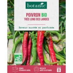 Graines de Poivron doux très long des Landes botanic® - graines à semer