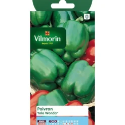 Graines de poivron yolo wonder Vilmorin - graines à semer