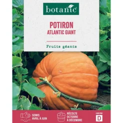 Graines de potiron Atlantic giant botanic® - graines à semer