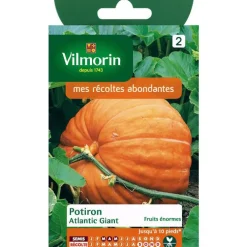 Graines de potiron atlantic Vilmorin - graines à semer