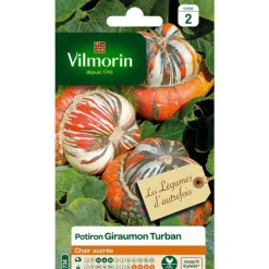 Graines de potiron Giraumon Turban Vilmorin - graines à semer