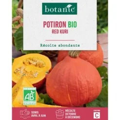 Graines de potiron red kuri potimarron bio botanic® - graines à semer