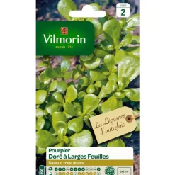 Graines de pourpier doré à larges feuilles Vilmorin - graines à semer