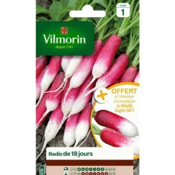 Graines de radis 18 jours Vilmorin - graines à semer