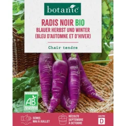 Graines de radis bleu d'automne bio botanic® - graines à semer