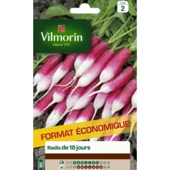Graines de radis de 18 jours Vilmorin - graines à semer