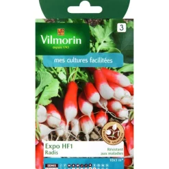 Graines de radis expo HF1 Vilmorin - graines à semer
