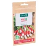 Graines de radis flamboyant 2 bio botanic® - graines à semer