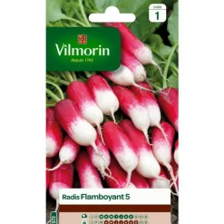 Graines de radis flamboyant Vilmorin - graines à semer