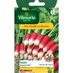 Graines de radis kocto HF1 Vilmorin - graines à semer