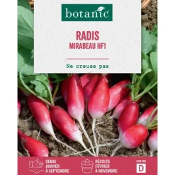 Graines de radis mirabeau HF1 botanic® - graines à semer