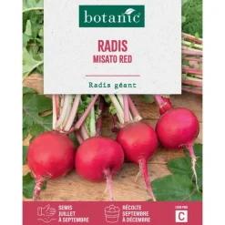 Graines de radis misato red botanic® - graines à semer