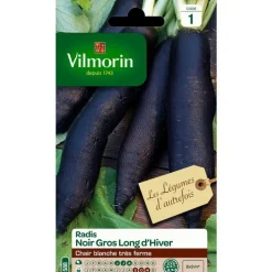 Graines de radis noir gros long d'hiver Vilmorin - graines à semer