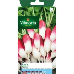 Graines de radis Pernot Vilmorin - graines à semer