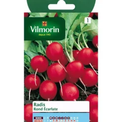 Graines de radis rond écarlate Vilmorin - graines à semer