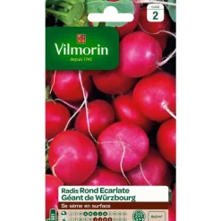 Graines de radis rond écarlate géant de Würzbourg Vilmorin - graines à semer