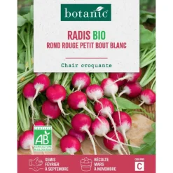 Graines de radis rond rouge à petit bout blanc bio botanic® - graines à semer
