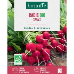 Graines de radis saxa 2 bio botanic® - graines saxa semer