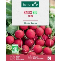 Graines de radis sora bio botanic® - graines à semer