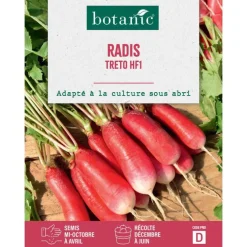 Graines de radis treto HF1 botanic® - graines à semer