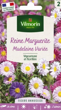 Graines de Reine Marguerite Madeleine variée Vilmorin - graines à semer