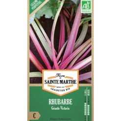 Graines de Rhubarbe Victoria bio Ferme de Sainte Marthe - 100 graines à semer