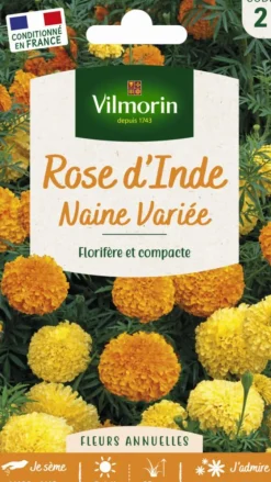 Graines de Rose d’Inde naine variée Vilmorin - graines à semer