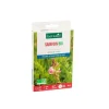 Graines de Sainfoin bio botanic® - graines à semer (10 m²)