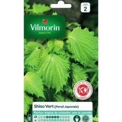 Graines de shiso vert Vilmorin - graines à semer