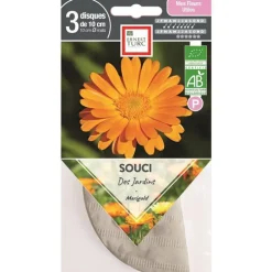 Graines de Souci des jardins bio Ernest Turc - graines à semer