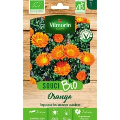 Graines de Souci orange bio Vilmorin - graines à semer