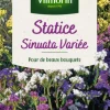 Graines de Statice Sinuata variée Vilmorin - graines à semer