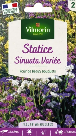 Graines de Statice Sinuata variée Vilmorin - graines à semer