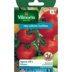 Graines de tomate agora HF1 Vilmorin - graines à semer