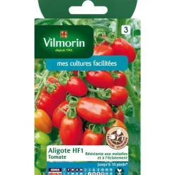 Graines de tomate aligote HF1 Vilmorin - graines à semer