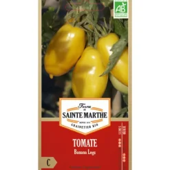 Graines de Tomate Banana legs bio Ferme Sainte Marthe - graines à semer