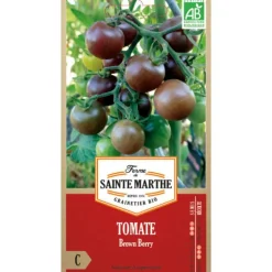 Graines de Tomate Brown Berry bio Ferme de Sainte Marthe - graines à semer