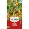 Graines de tomate cocktail clémentine bio Ferme de Sainte Marthe - graines à semer